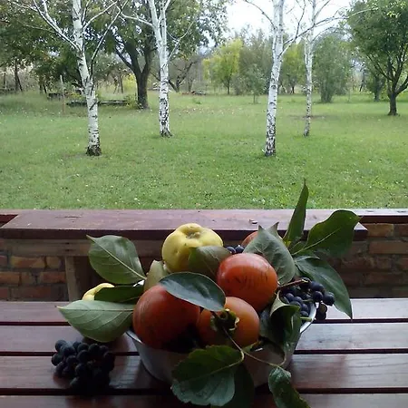 Family Ranch * 포드고리차